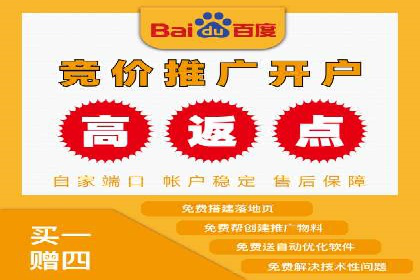 百度竞价推广案例：品牌崛起之路